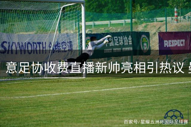 意足协收费直播新帅亮相引热议 曼奇尼上任发布会设500欧门槛